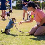dogs-day-out-festival-of-busselton-vasse-community-event-2023