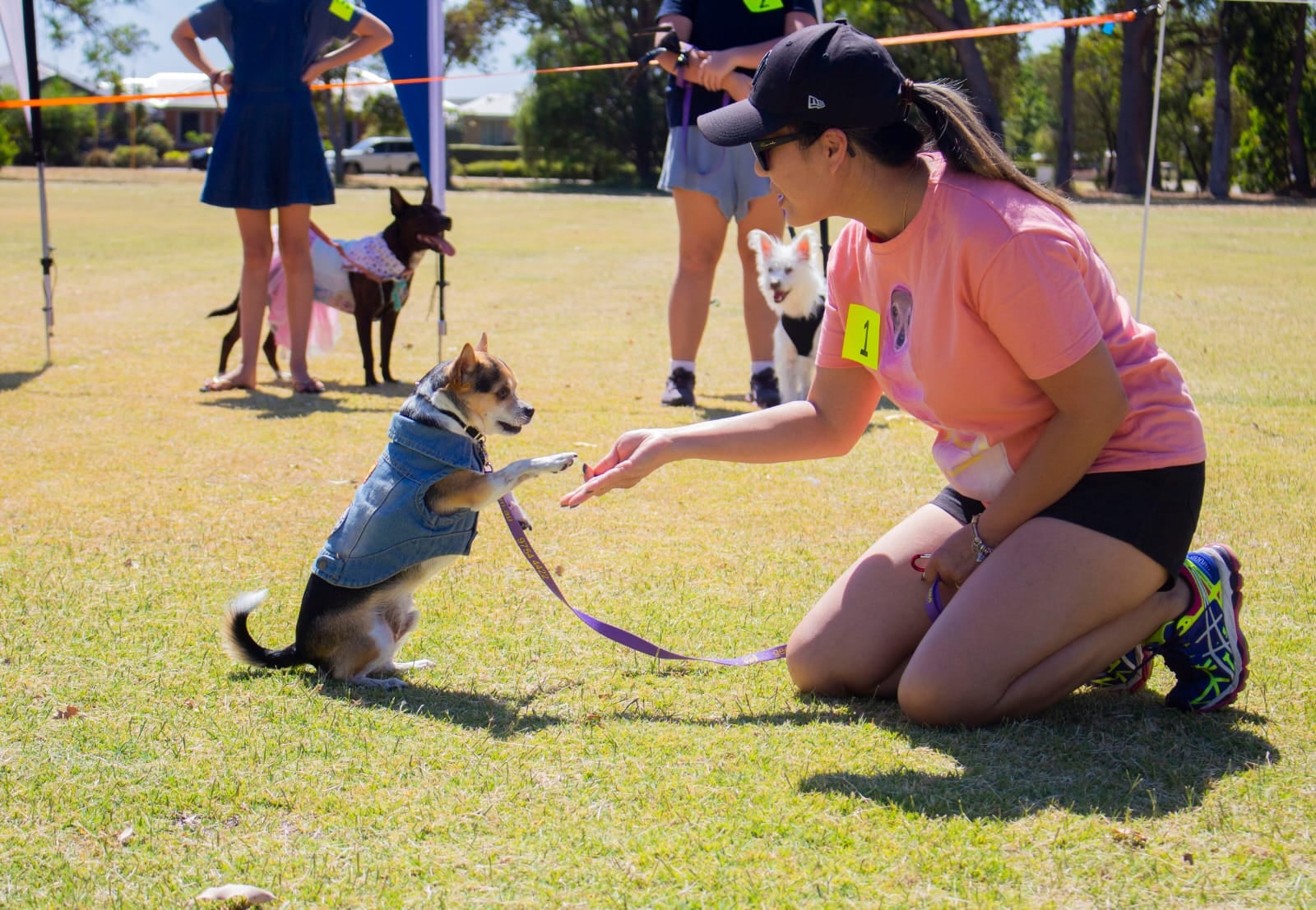 dogs-day-out-festival-of-busselton-vasse-community-event-2023