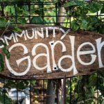 communtity-garden-taking-root-blog-post-vasse-estate-western-australia-perth-sign